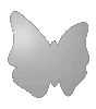 Hohlkammerplatte in Schmetterling-Form konturgefräst <br>einseitig 4/0-farbig bedruckt
